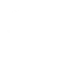 Webshop Project Icon