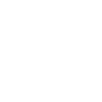 Data Organizer Project Icon